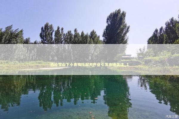 西岭雪山下小青梅托起大产业引发市场关注_1