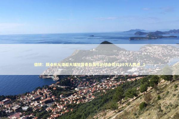 德转：颜卓彬从港超大埔加盟青岛海牛的转会费约29万人民币_1