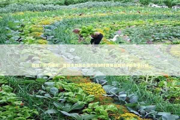 震惊！民调曝光：美国多数民众强烈抵制特朗普最新对伊朗军事行动