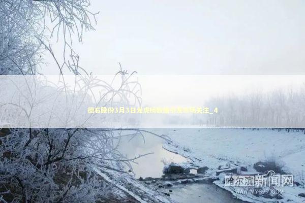 德石股份3月3日龙虎榜数据引发市场关注_4