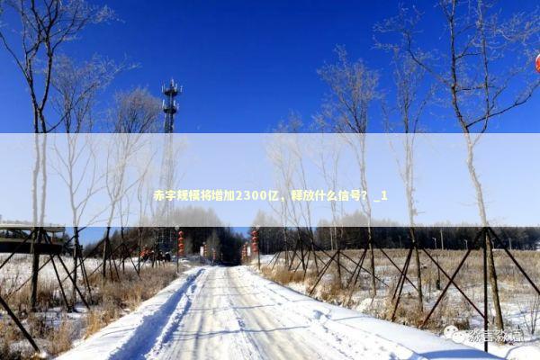 赤字规模将增加2300亿，释放什么信号？_1
