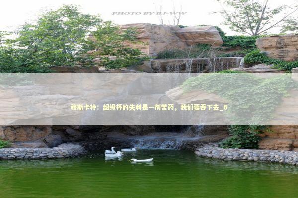 穆斯卡特：超级杯的失利是一剂苦药，我们要吞下去_6