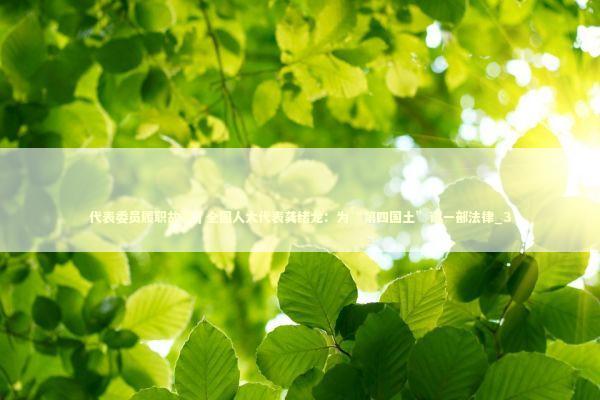 代表委员履职故事｜全国人大代表龚绪龙：为“第四国土”谋一部法律_3