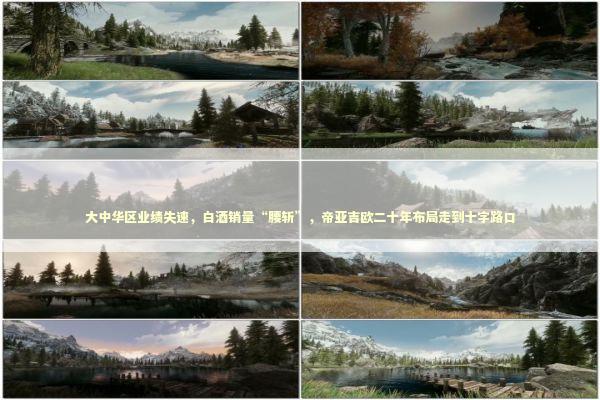 大中华区业绩失速，白酒销量“腰斩”，帝亚吉欧二十年布局走到十字路口