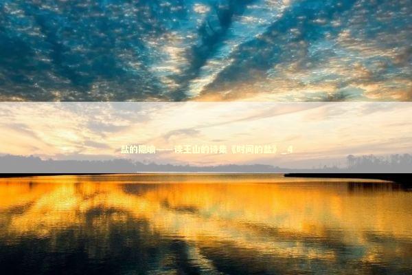 盐的隐喻——读王山的诗集《时间的盐》_4