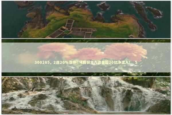 300265，2连20%涨停！4股获主力资金超20亿净流入！_5