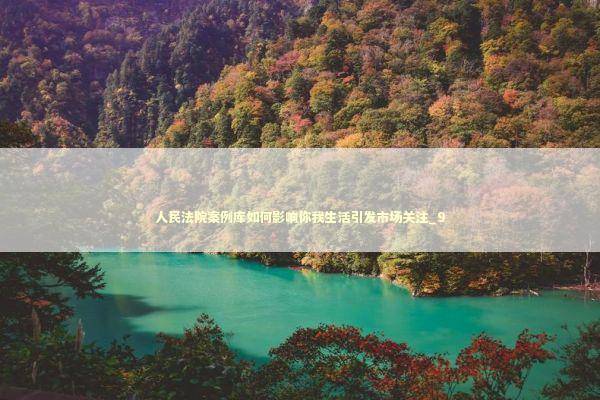 人民法院案例库如何影响你我生活引发市场关注_9