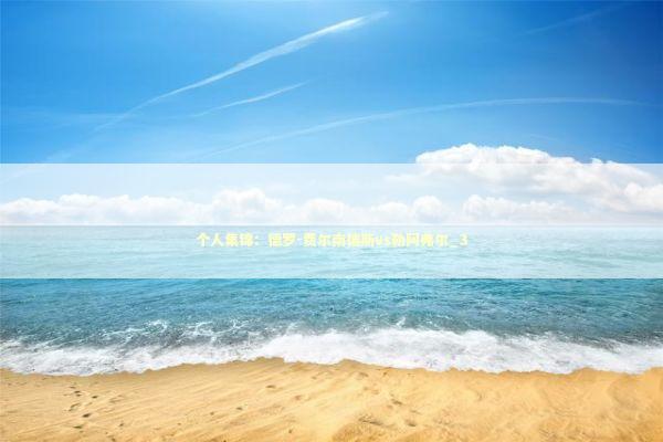 个人集锦：德罗-费尔南德斯vs勒阿弗尔_3