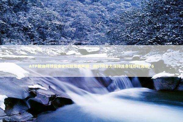 ATP就迪拜球员安全问题发表声明：我们将全力保障其各项即时需求_6