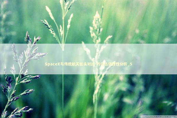 SpaceX与传统航天巨头对比-万亿估值理性分析_5