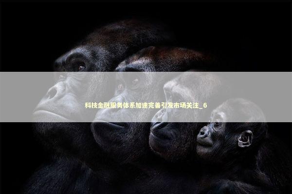 科技金融服务体系加速完善引发市场关注_6