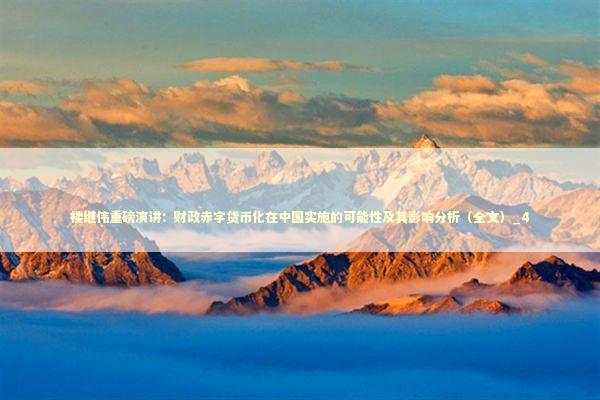 楼继伟重磅演讲：财政赤字货币化在中国实施的可能性及其影响分析（全文）_4