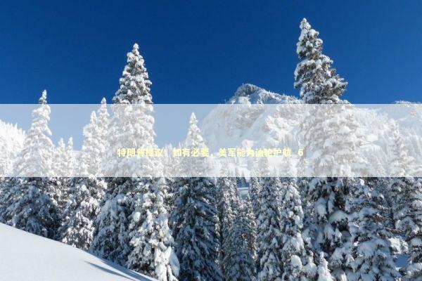 特朗普提议：如有必要，美军能为油轮护航_6