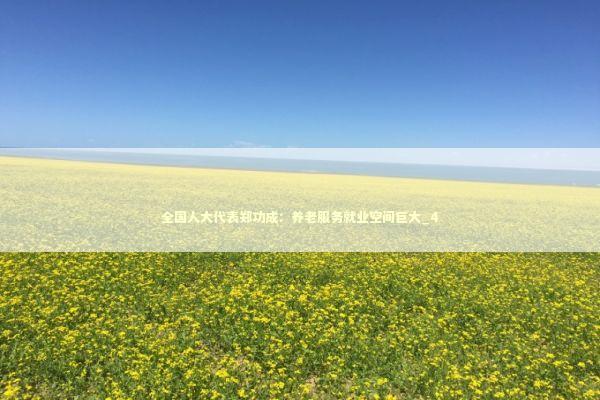 全国人大代表郑功成：养老服务就业空间巨大_4