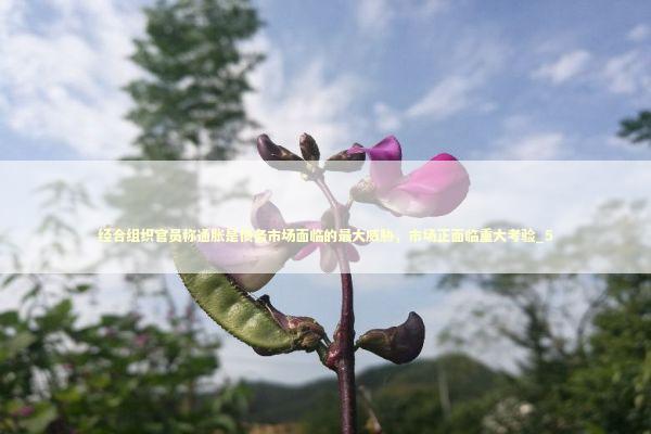 经合组织官员称通胀是债务市场面临的最大威胁，市场正面临重大考验_5