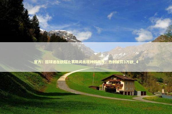 官方：因球迷在欧冠比赛期间出现种族歧视，热刺被罚3万欧_4