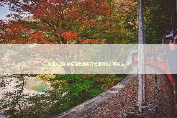 美国人正以创纪录数量离开美国引发市场关注_8