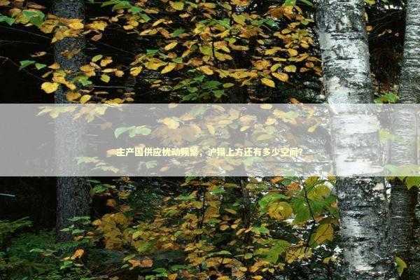 主产国供应扰动频繁，沪锡上方还有多少空间？