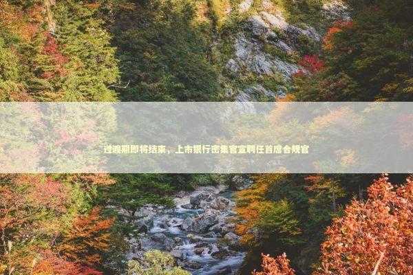 过渡期即将结束，上市银行密集官宣聘任首席合规官