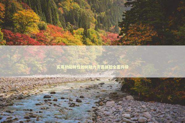 实用功能特性如何助力页面体验全面升级