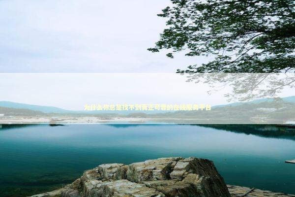 为什么你总是找不到真正可靠的在线服务平台