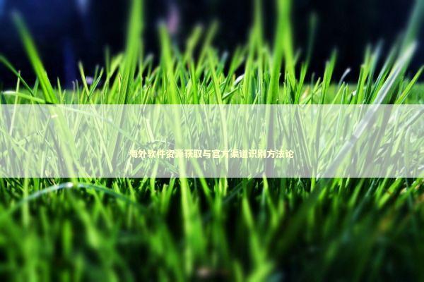 海外软件资源获取与官方渠道识别方法论