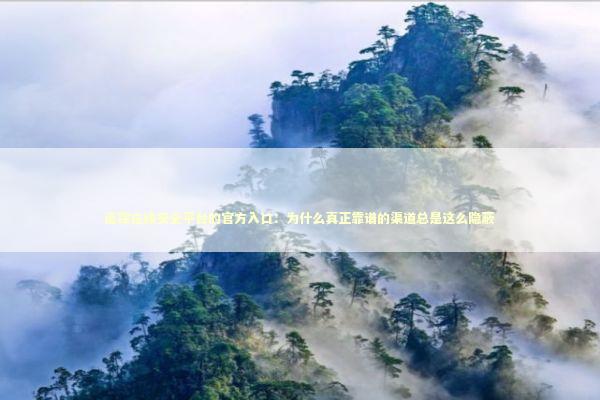 追踪在线安全平台的官方入口：为什么真正靠谱的渠道总是这么隐蔽